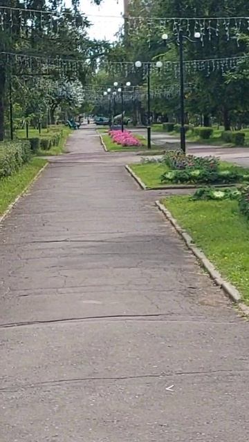 Рябиновые аллеи в Братске смотреть онлайн