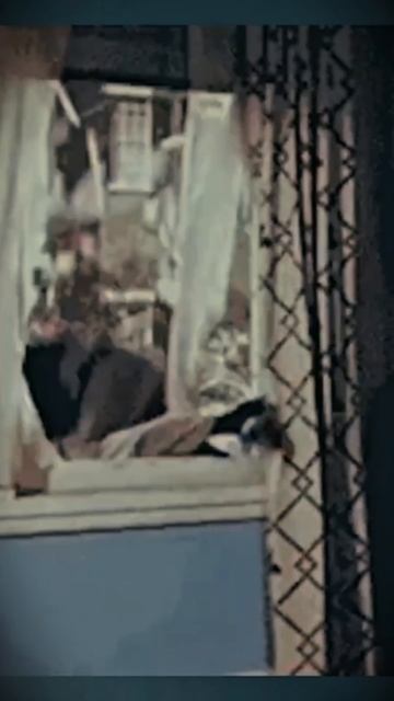 NOVACPAY.RU: Мир Финансов