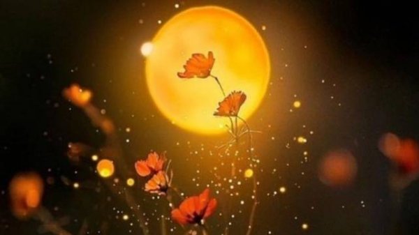 Самое Красивое Пожелание Спокойной Ночи Сладких Снов! Доброй Ночи