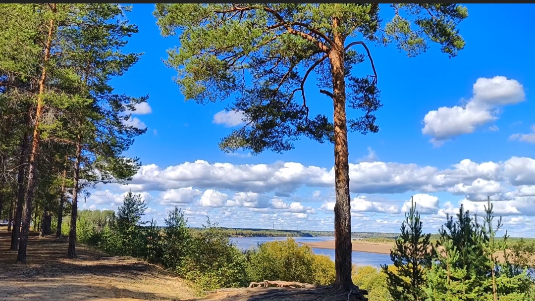 Выезд на природу с друзьями смотреть онлайн