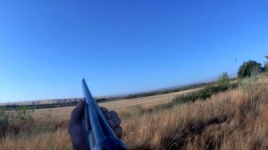 ОХОТА НА ГОЛУБЯ