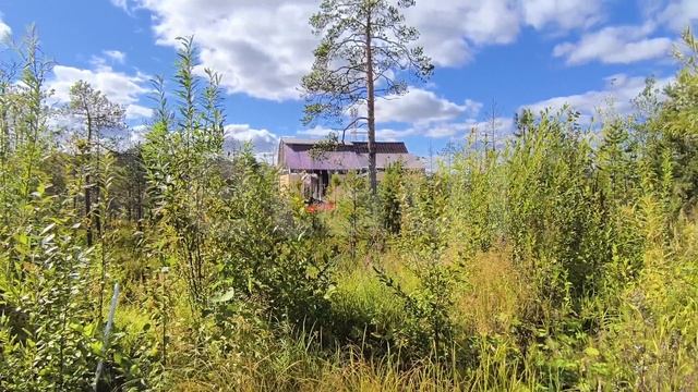 9072745 ДПК Сургутское смотреть онлайн