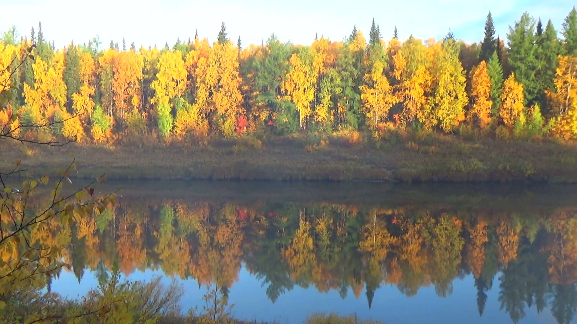 Вот это клёв!!! Крокодилы северных рек! Готовим ужин, блюдо _драный окунь_. Рыбалка на севере. Тайга смотреть онлайн