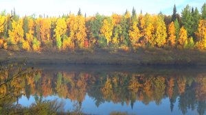 Вот это клёв!!! Крокодилы северных рек! Готовим ужин, блюдо _драный окунь_. Рыбалка на севере. Тайга