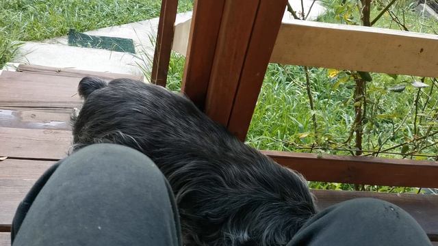 СОЧИ ГОРНОЕ ЛОО УТРО 24.08.2025 смотреть онлайн