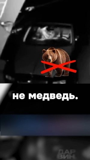 Армянская смекалочка