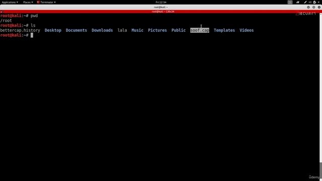 11.6. Creating Custom Spoofing Script6