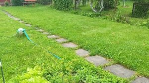 Дачное видео 🏡мама не довольна,что мало делаем🤦♀️😉