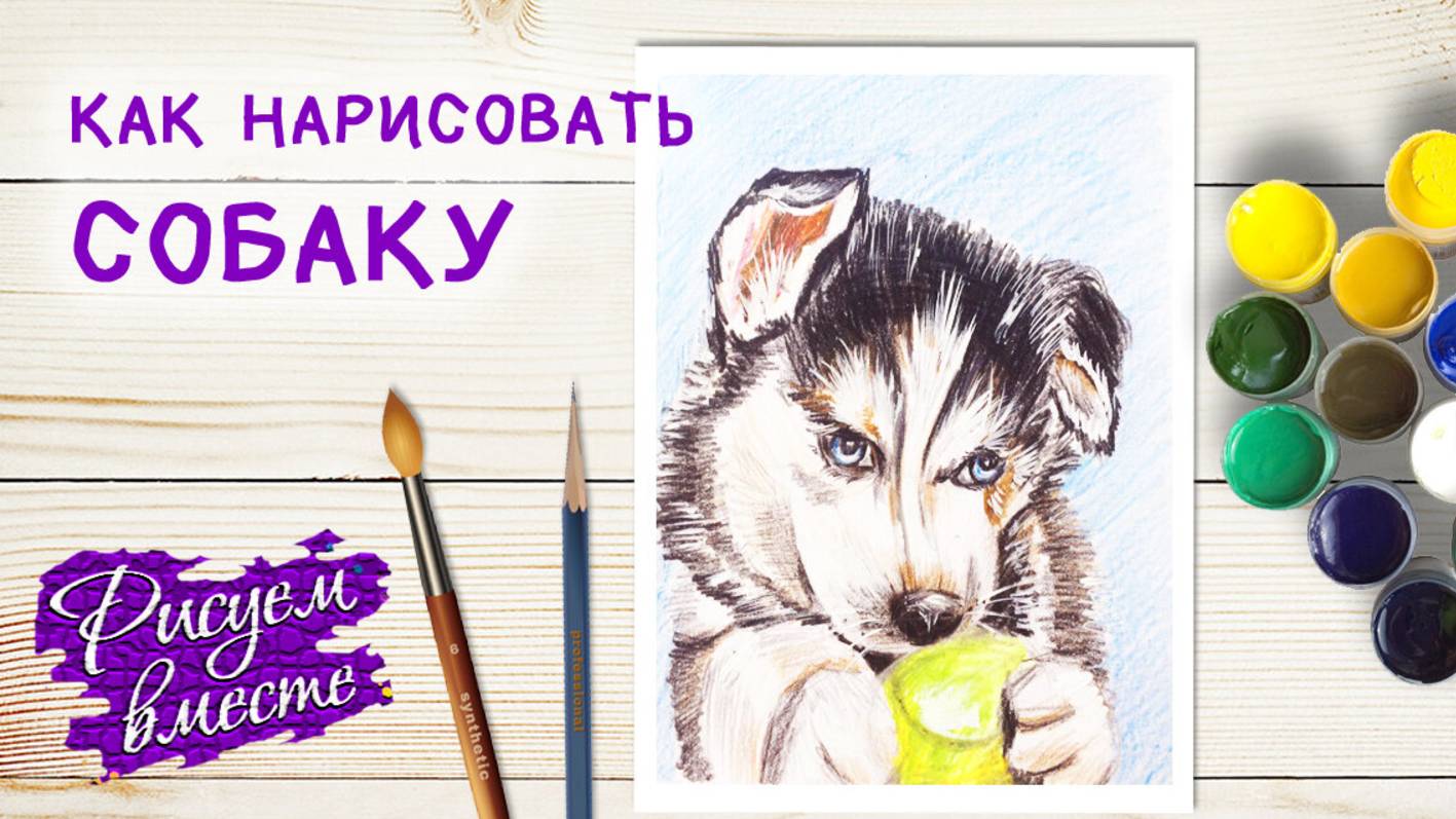Как нарисовать собаку (щенка) цветными карандашами. Пошаговый урок рисования. Рисуем вместе смотреть онлайн