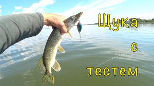 Две рыбалки по ЩУКЕ и ОКУНЮ. Тесть меня обловил.