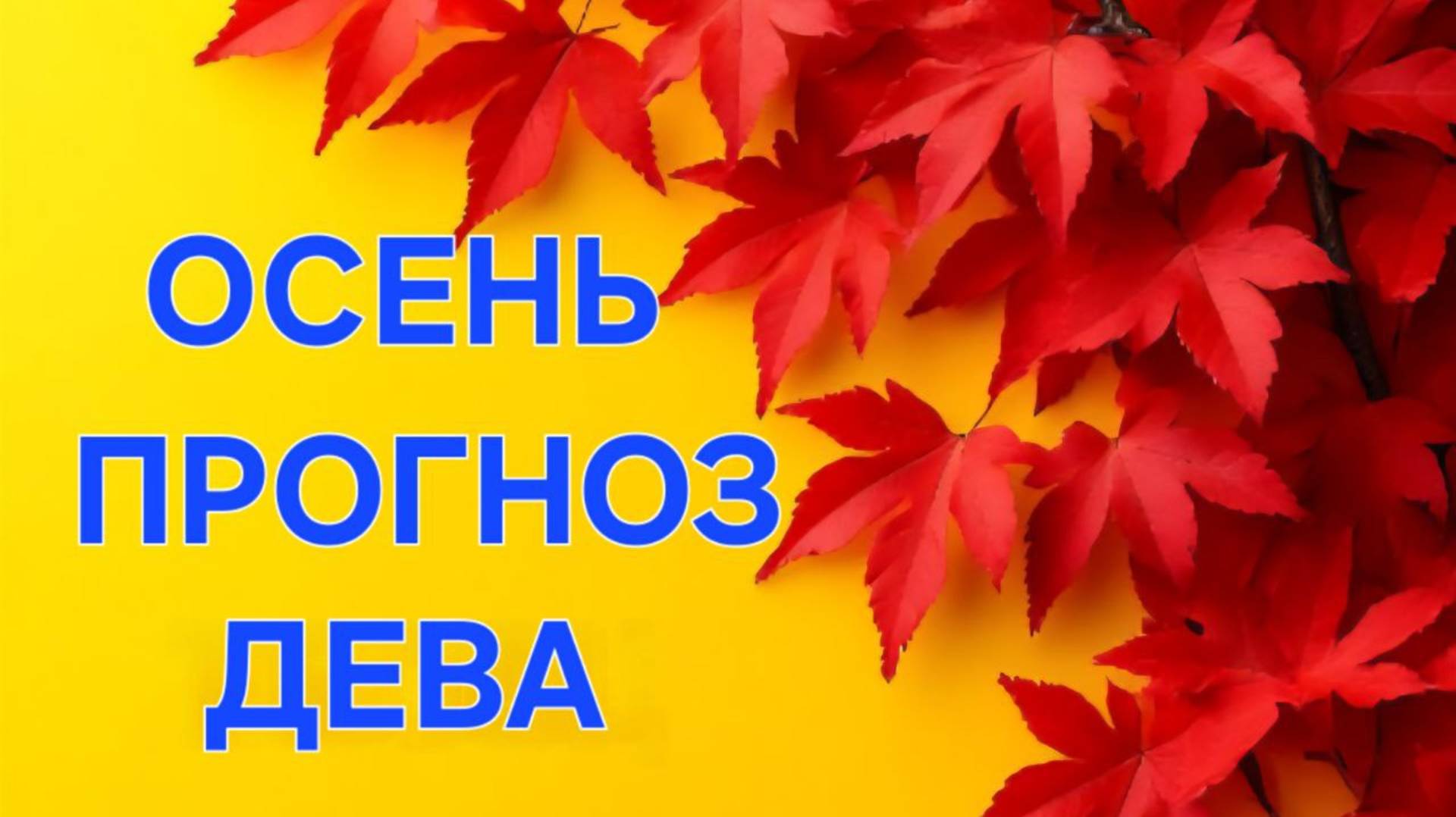 ДЕВА. ТАРО ПРОГНОЗ НА ОСЕНЬ смотреть онлайн
