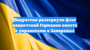 Подростки развернули флаг нацистской Германии вместе с украинским в Запорожье