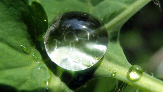 Детские развивашки