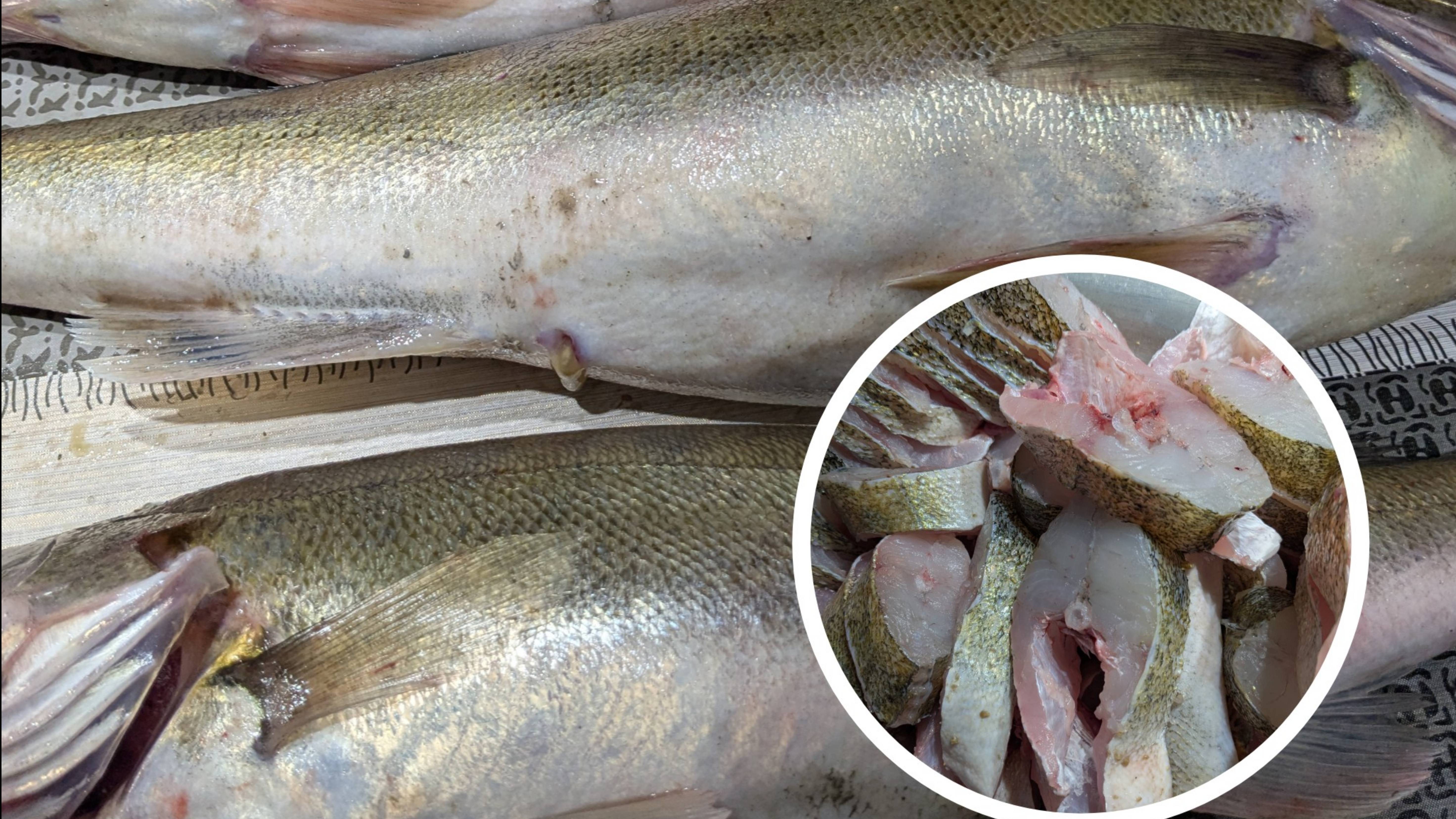 Судак, это вкусно! смотреть онлайн