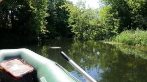 Трофейный голавль за два килограмма! Сплав по малой реке