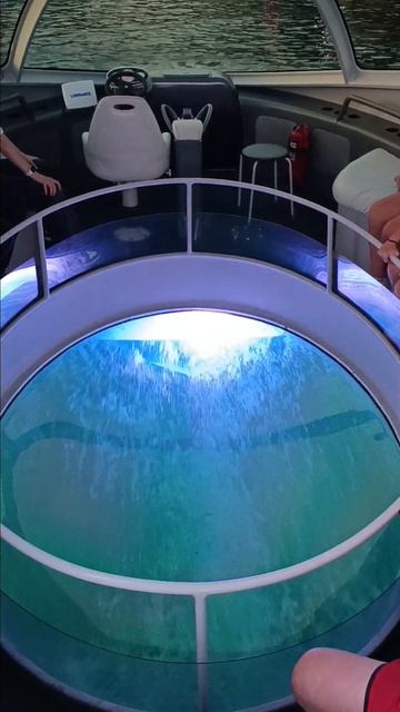 С видом на дно Байкала смотреть онлайн