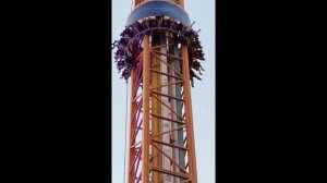 Сочи парк 2025