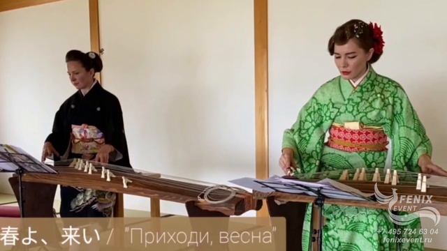 Заказать японских музыкантов на праздник и встречу гостей в Москве - музыкант на Кото смотреть онлайн