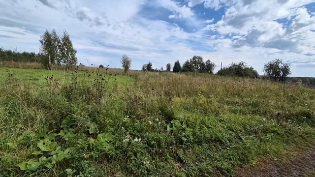 Едем в лес, грязь мокрота/ закручиваю яблочки и грибы смотреть онлайн