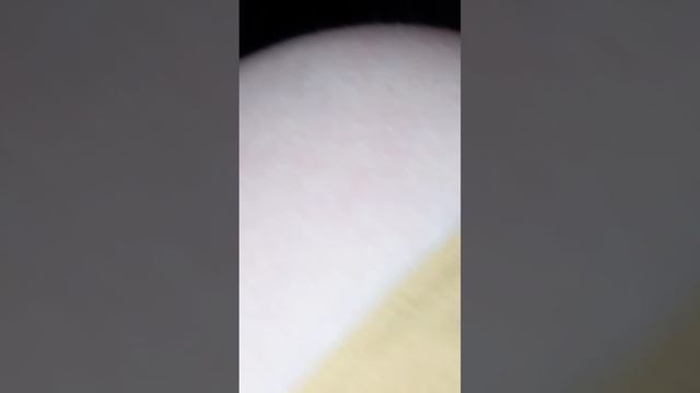 ëжик смотреть онлайн