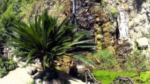 Абхазия. Новый Афон. Центр культуры. Рядом с водопадом. 2025