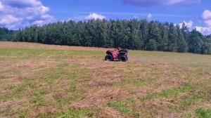 Снегоболотоход Т9 мини