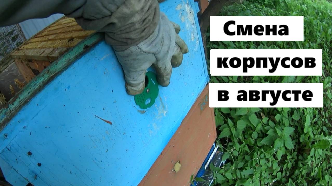 Смена корпусов в теории и практике смотреть онлайн