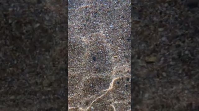 Мелодия Рассвета. Аффирмации от Амайи