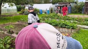 Сегодня убрали морковку и свёклу.