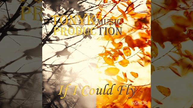 TonyK music production - If I Could Fly