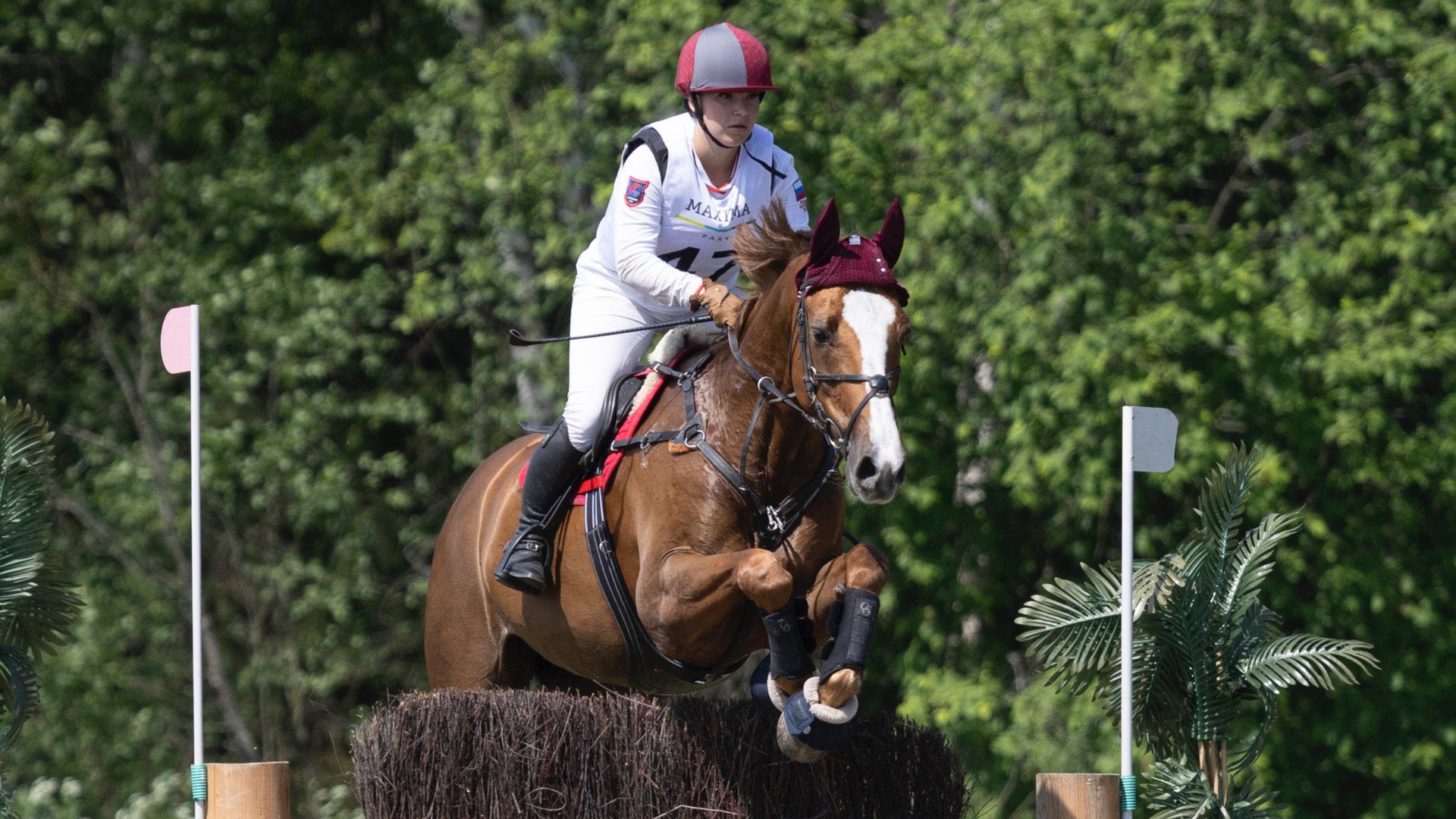 Космические лошади🚀