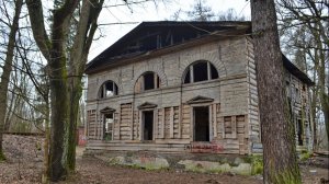 Тайны Осиновой рощи)