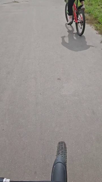 Велопрогулка #рек #велопрогулка #яппи #лайк #спорт #тренировки #подписка смотреть онлайн