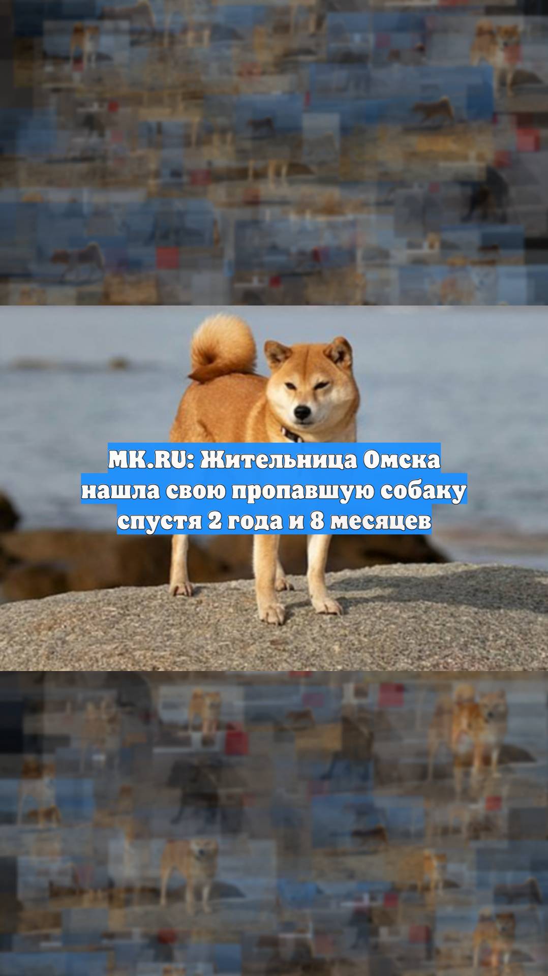 Первый Новостной