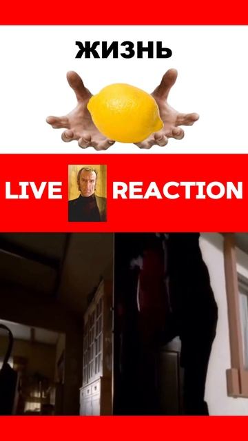 Viggle.ai не справился