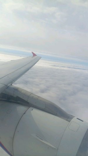 всем привет этот эфир тихий и маленький