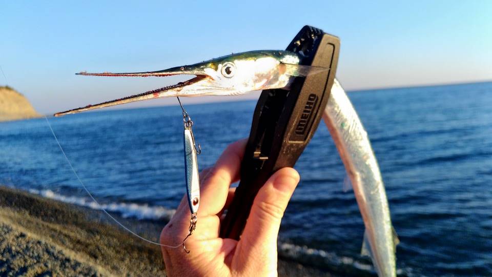 Сарган, ловля саргана. Пилькер на саргана с турбо мушкой смотреть онлайн