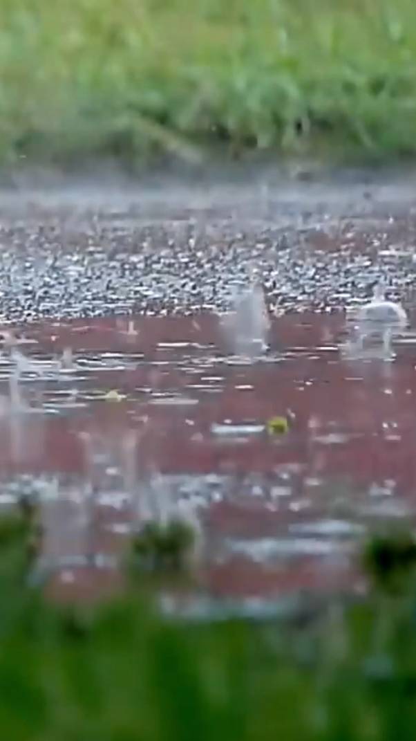 Мы должны ... смотреть онлайн