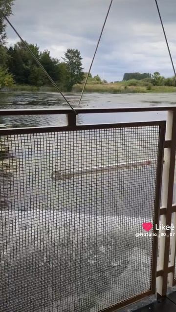 Шуя. Колибри. Экскурсия. Река Теза.