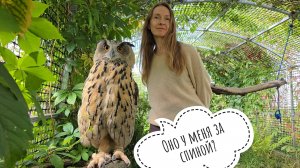 Ходим бесим сову, но с уважением. Я снова собралась в лес