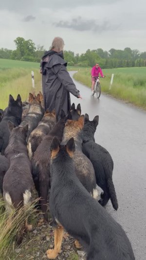 Настоящий авторитет...!!!!