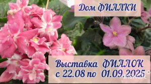 Выставка фиалок  «В королевстве Сенполий - 2025» с 22.08 по01.09.2025г. в Доме Фиалки.