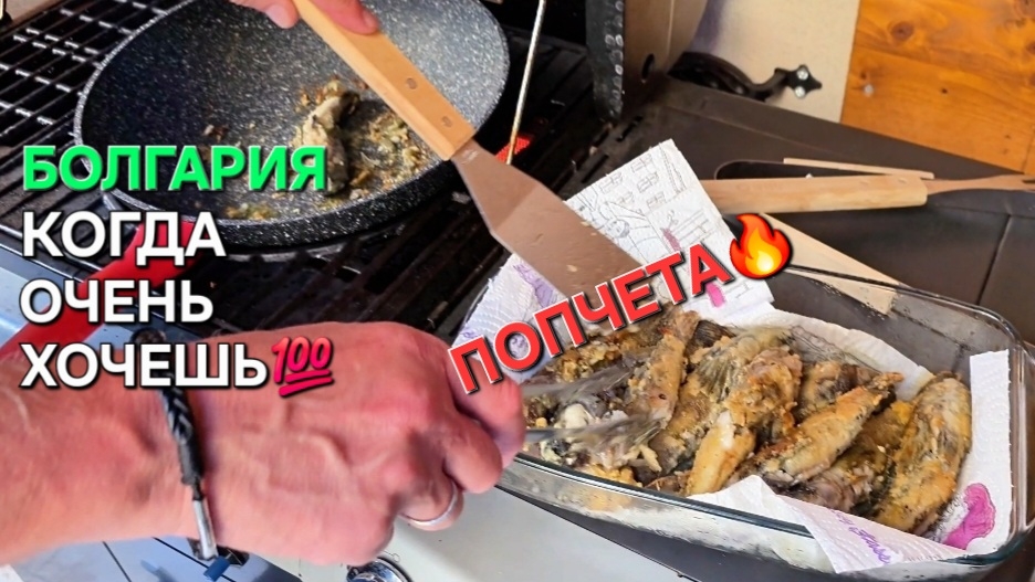 Жизнь в Болгарии | Я думал, что всё умею...но ошибался🤦♂️ смотреть онлайн
