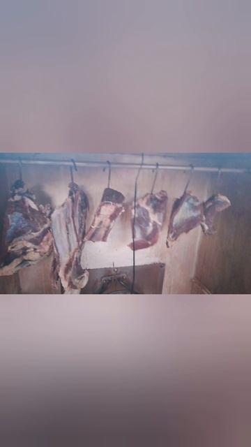 Косуля горячего копчения. Ребра горячего копчения. Коптим ребра. Маринуем ребра. Коптим