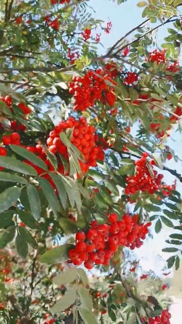 1000120924.mp4 смотреть онлайн