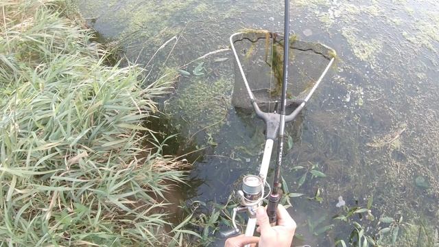 Обзор и рыбалка на спиннинг от GAMAKATSU AKILAS 80ML! Ловля щуки и окуня на спиннинг! смотреть онлайн