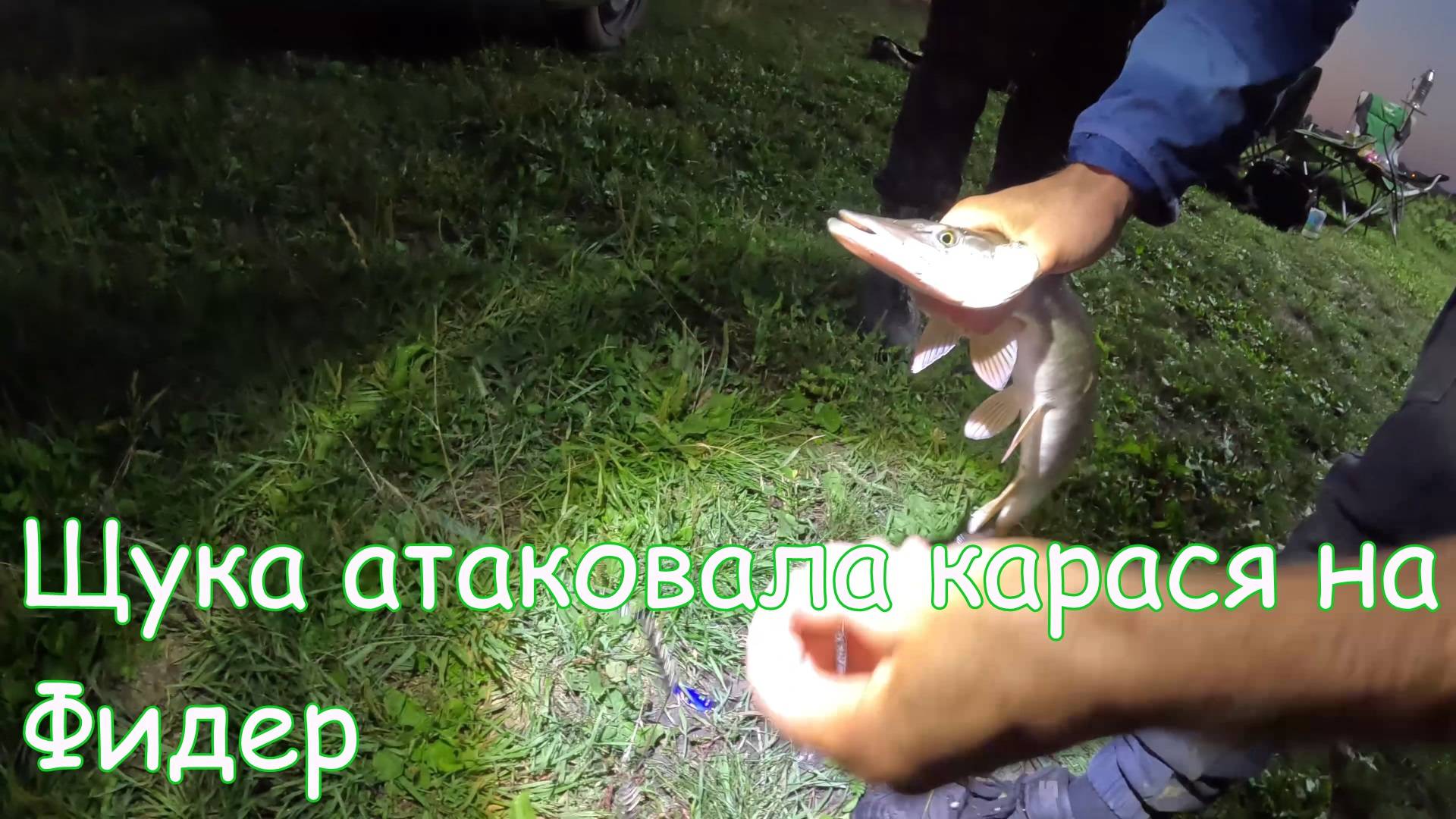 Щука атаковала Карася. Рыбалка с ночевкой. Часть 5 смотреть онлайн