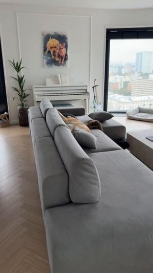 Надежный охранник 😁