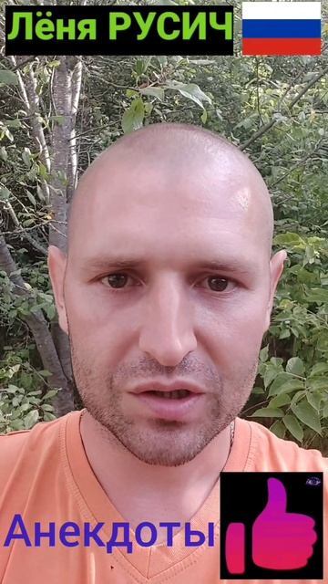 Анекдот про Сабаку и льва