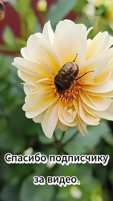 Всем доброго времени суток. смотреть онлайн